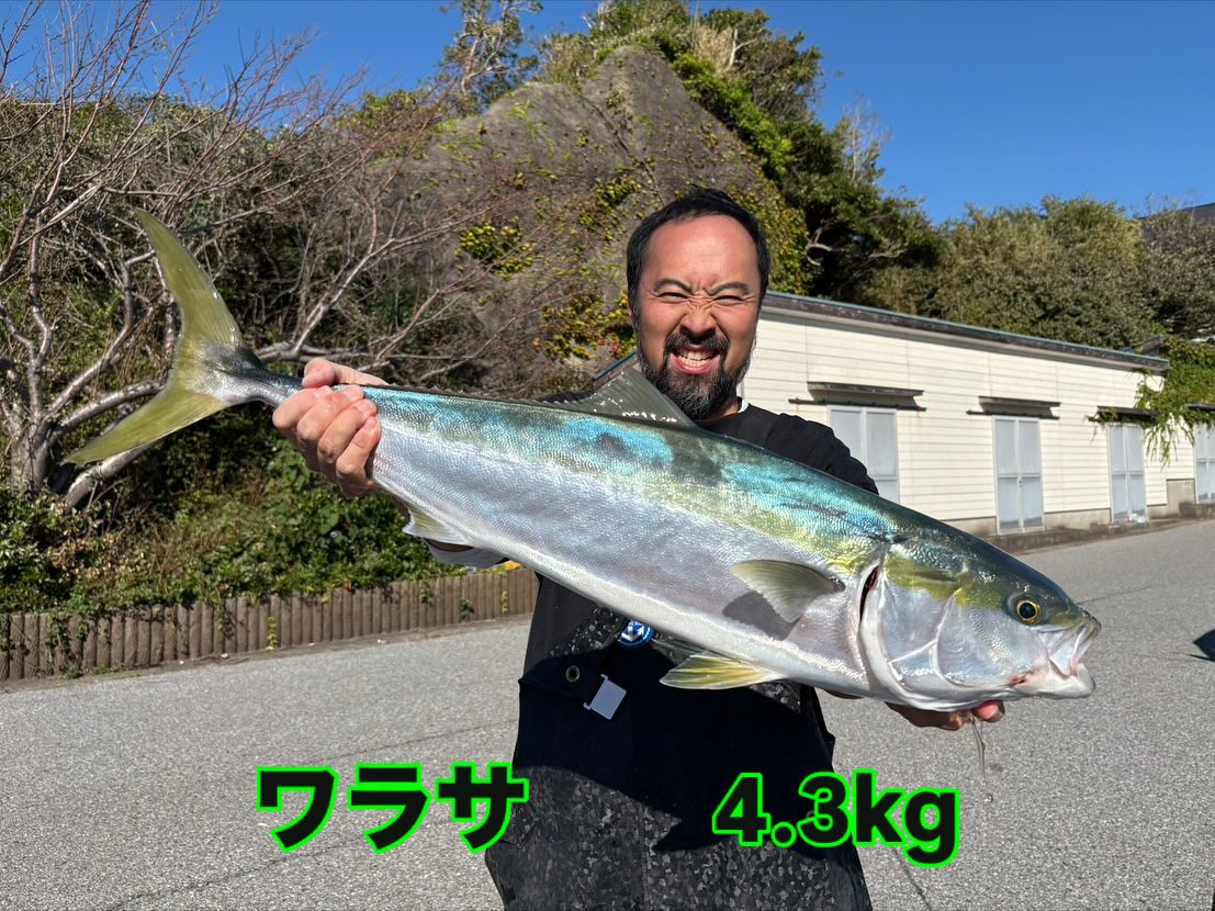 10月27日(月)スルメイカ/ワラサ