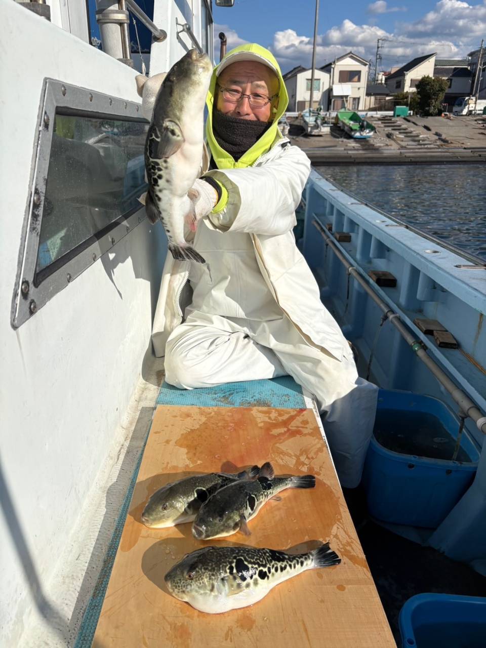 1月29日(木)トラフグ