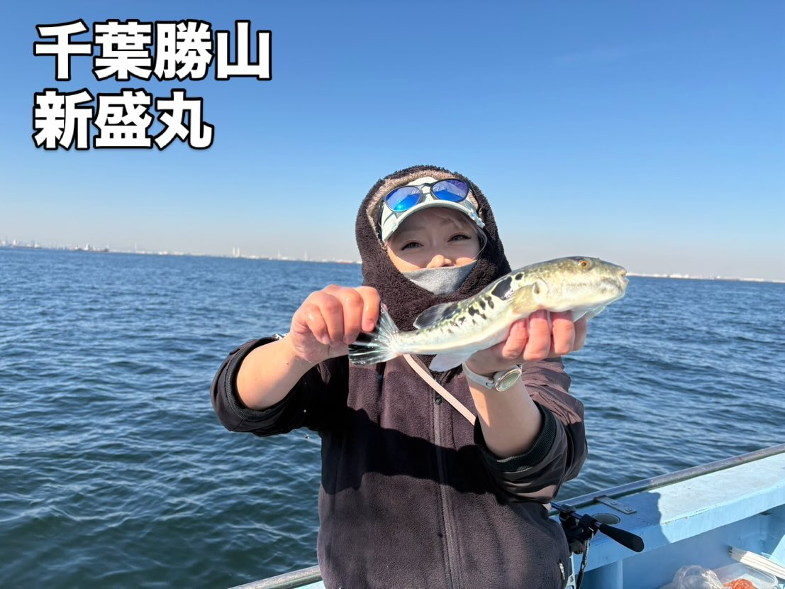 2月4日(水)ヤリイカ/トラフグ