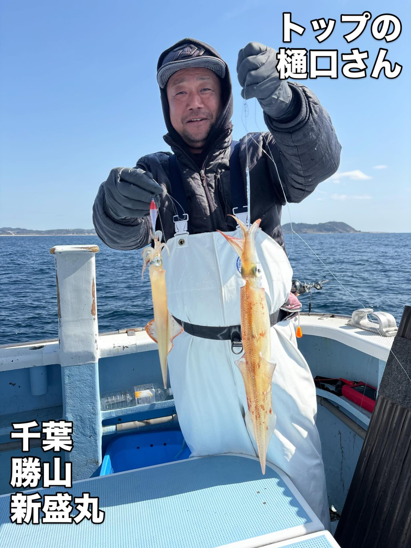 3月1日(日)ヤリイカ/トラフグ