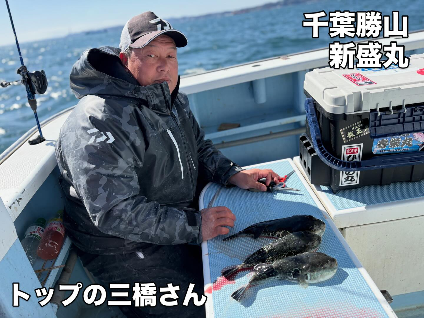 3月8日(日)トラフグ