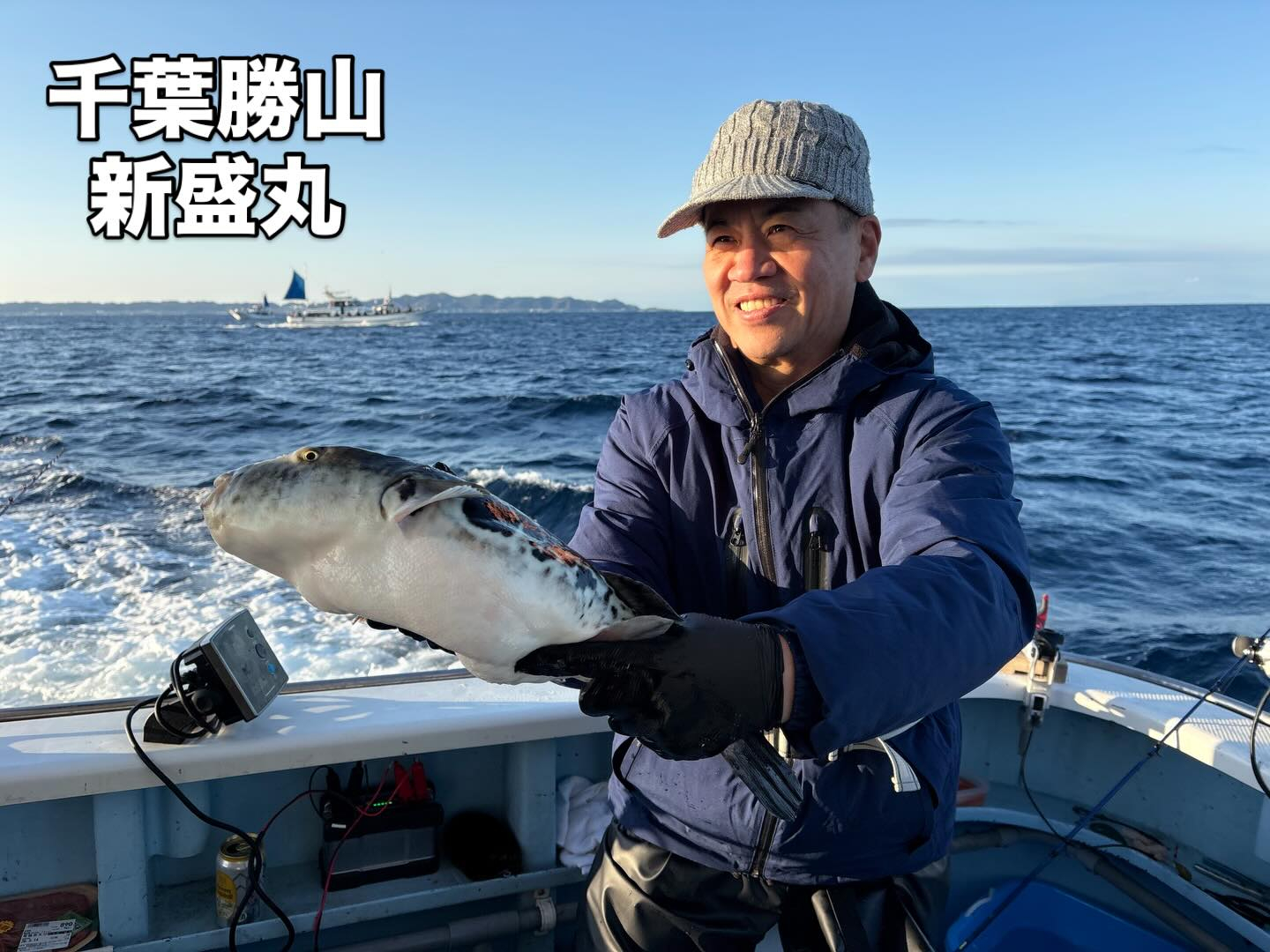 3月15日(日)トラフグ