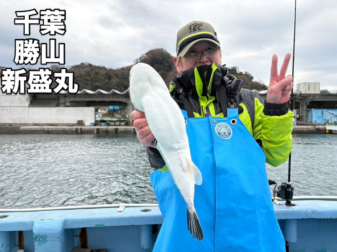 3月16日(月)トラフグ