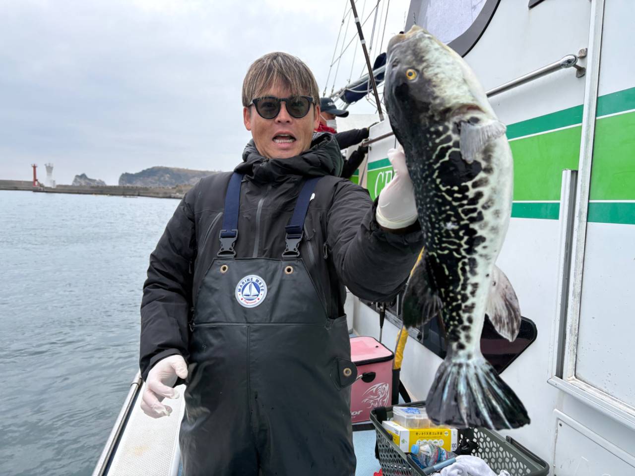 3月17日(火)トラフグ