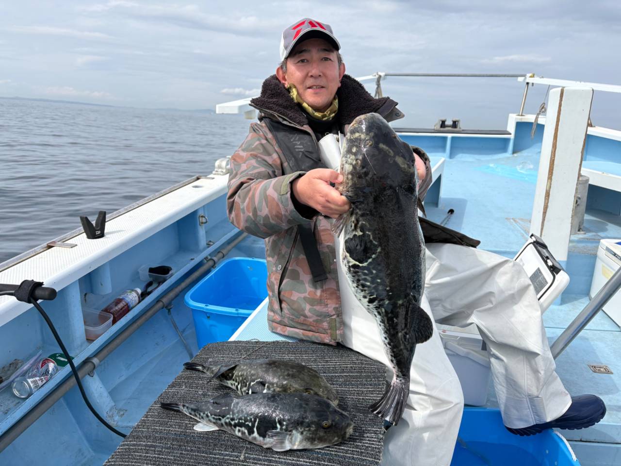 3月18日(水)トラフグ