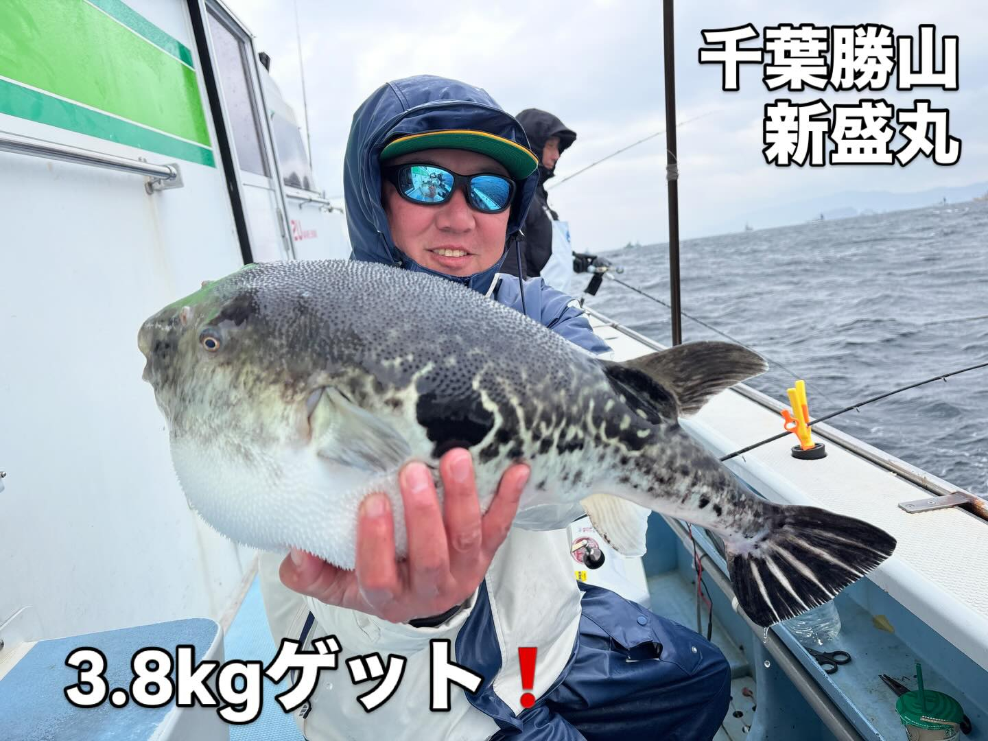 3月20日(金)トラフグ