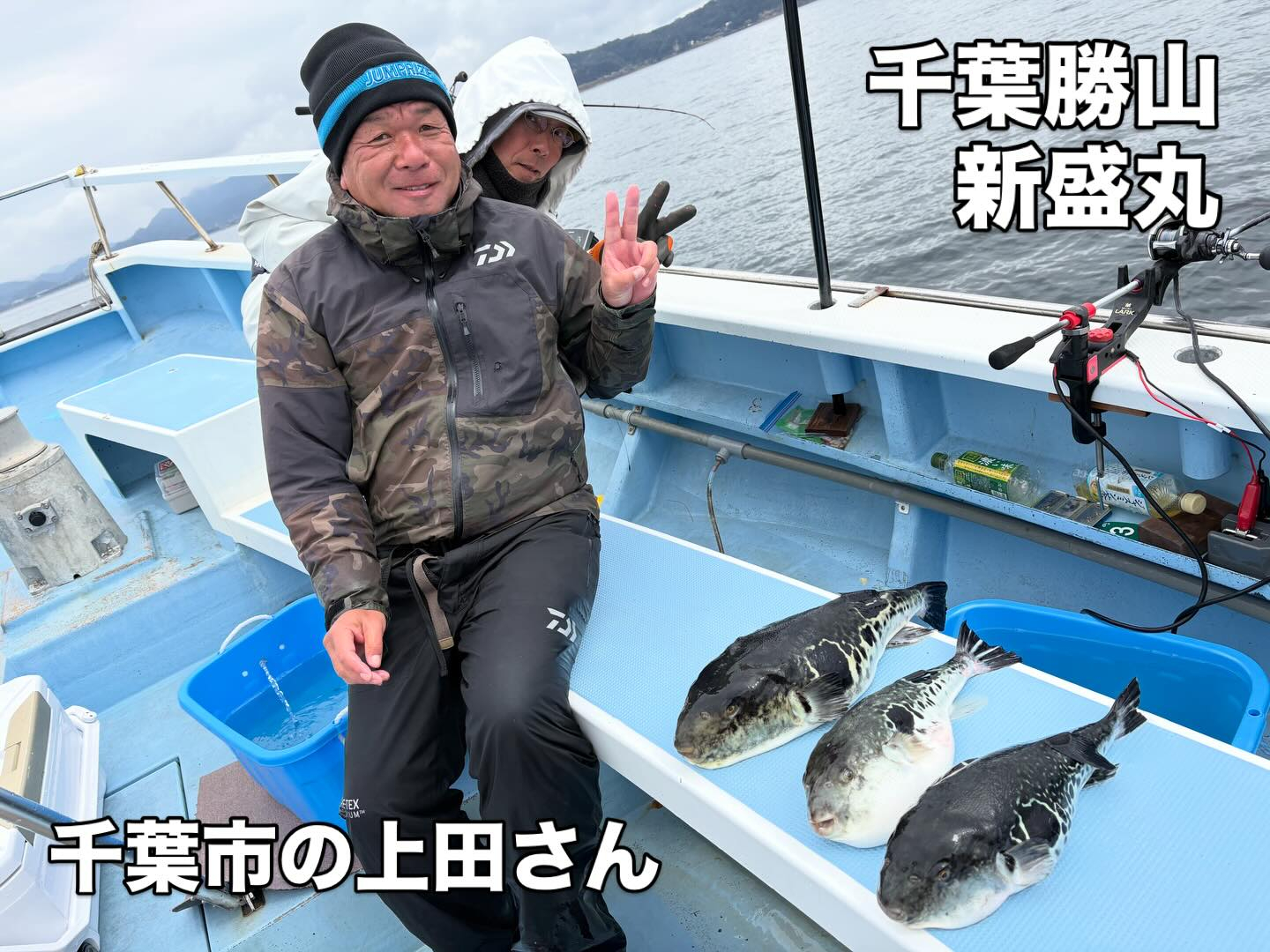 3月23日(月)トラフグ