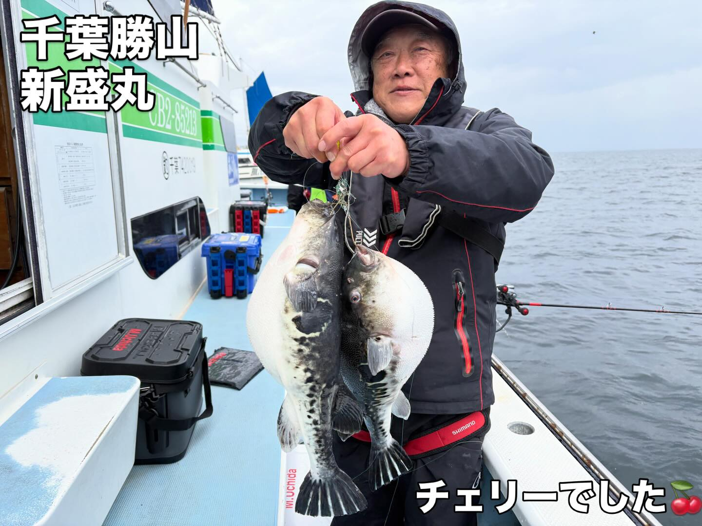 3月25日(水)トラフグ