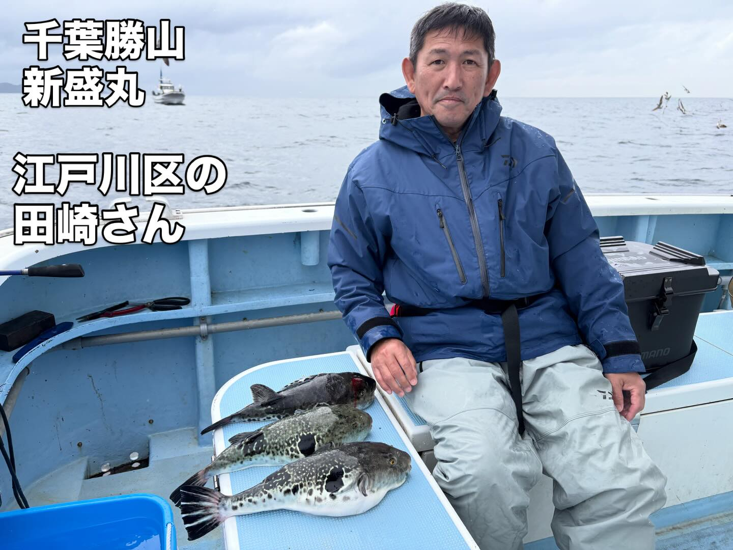 3月26日(木)トラフグ