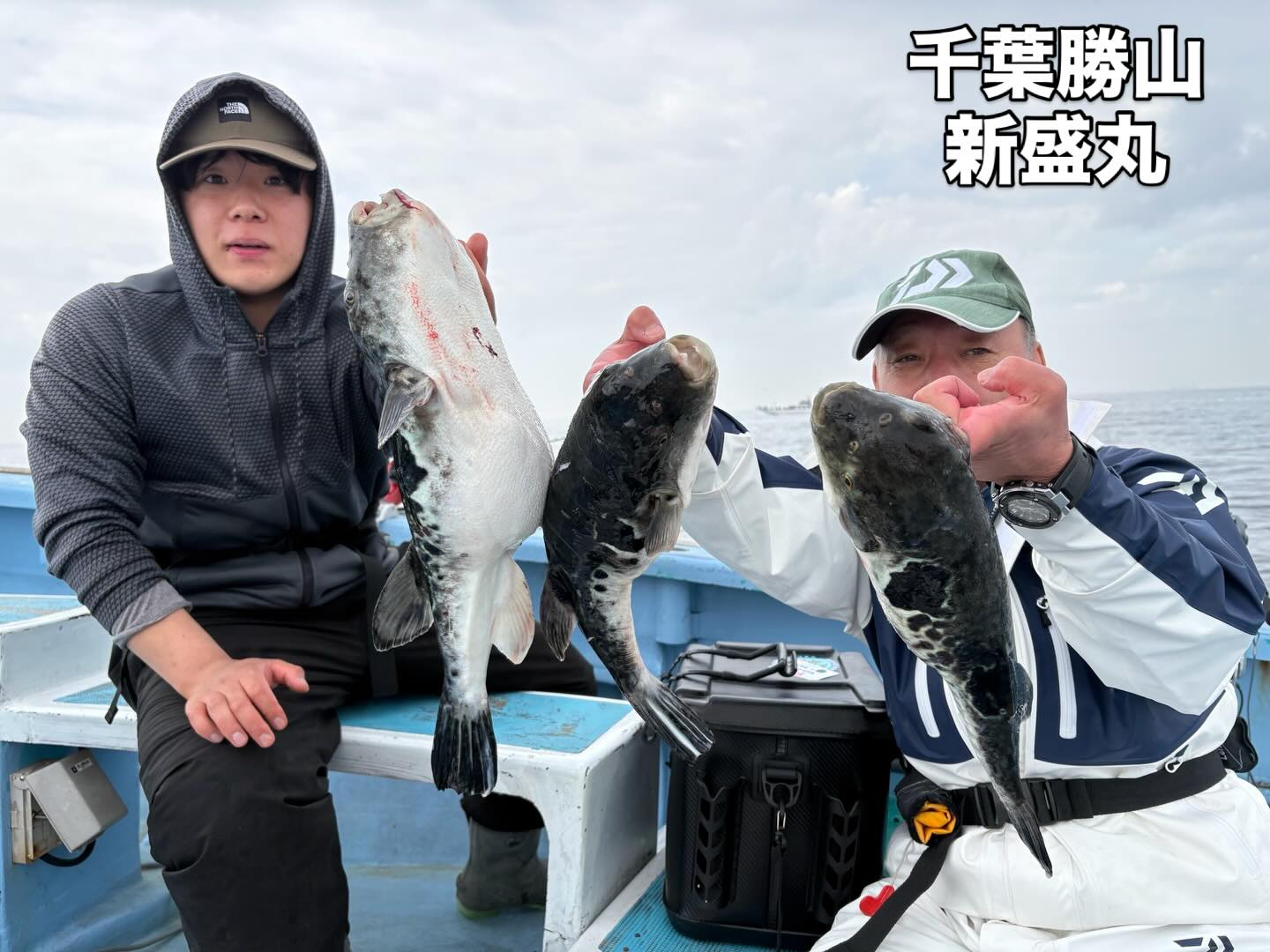 3月30日(月)トラフグ