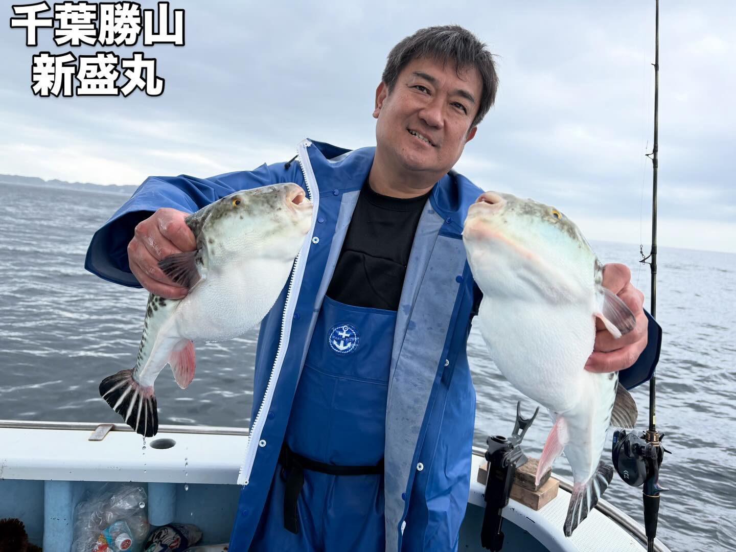 4月1日(水)トラフグ