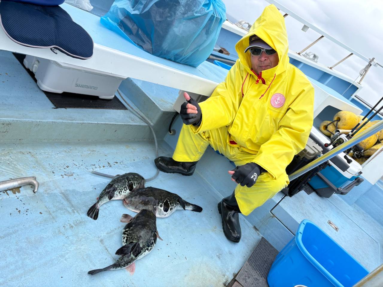 4月2日(木)トラフグ