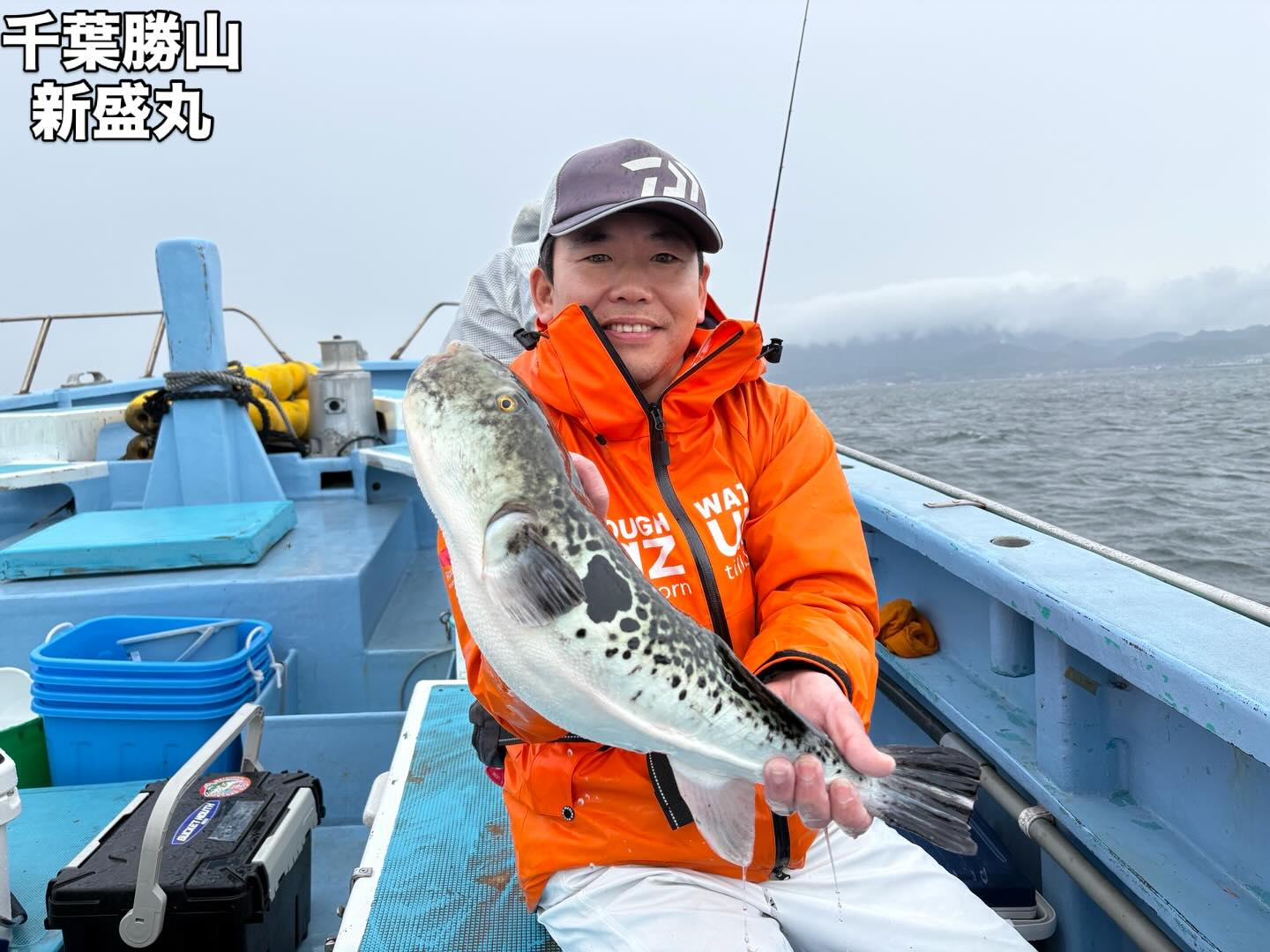 4月7日(火)トラフグ