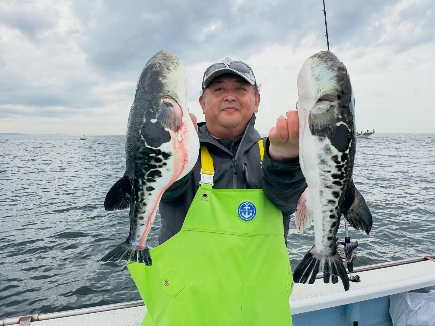 4月15日(水)トラフグ