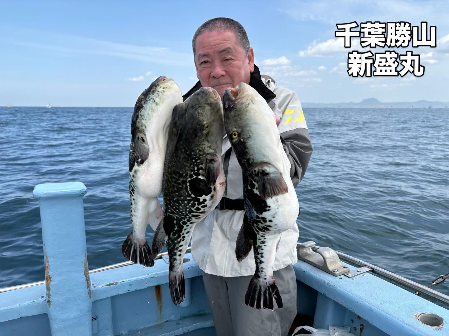 4月19日(日)トラフグ