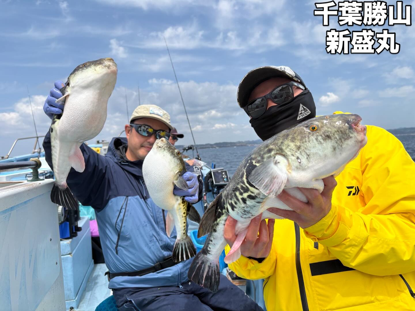 4月20日(月)トラフグ