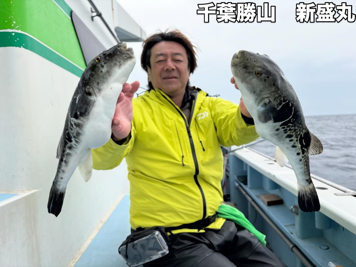 4月24日(金)トラフグ