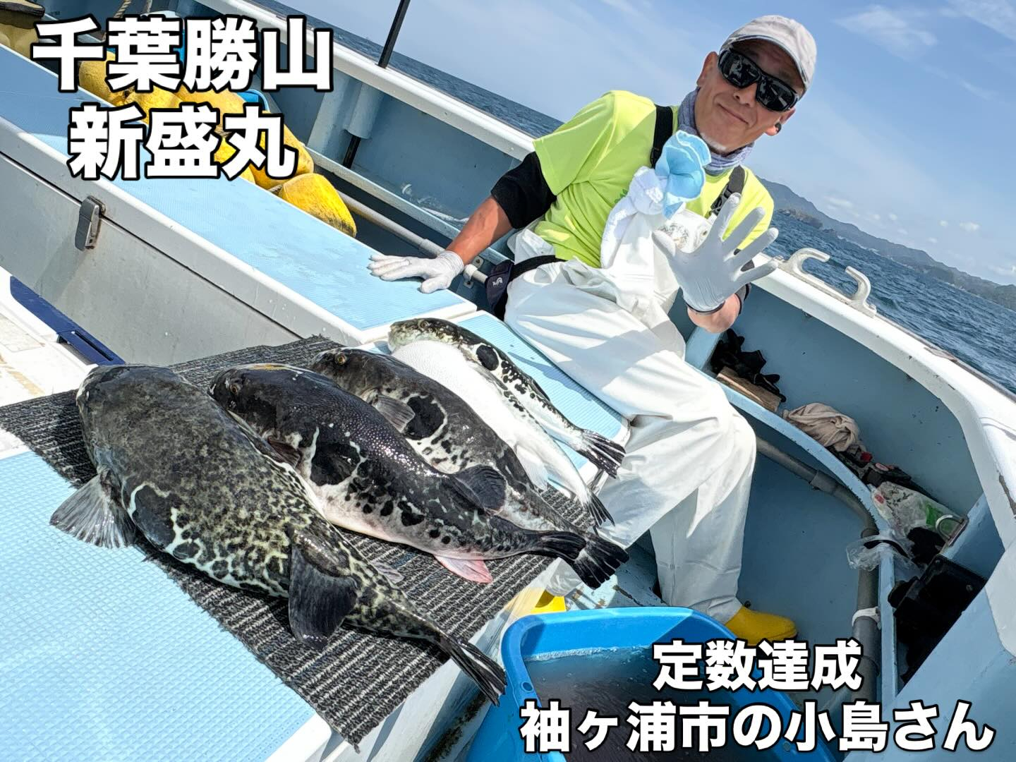 4月28日(火)トラフグ