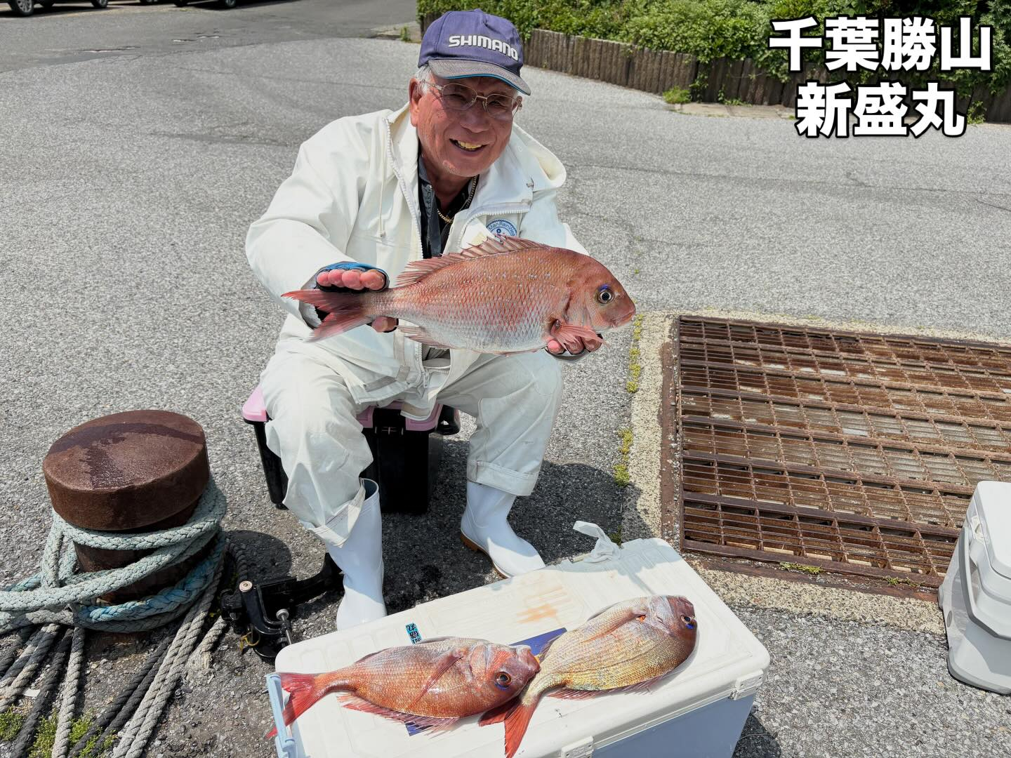 5月15日(金)マダイ
