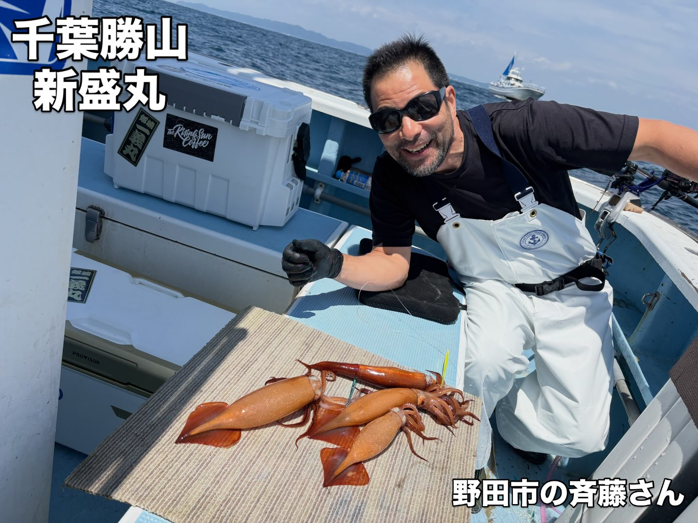 7月6日(月)スルメイカ