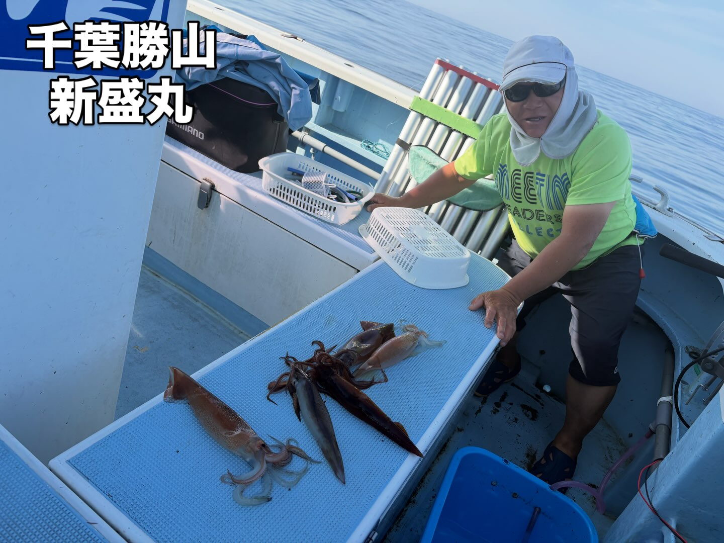 7月14日(火)マルイカ/スルメイカ