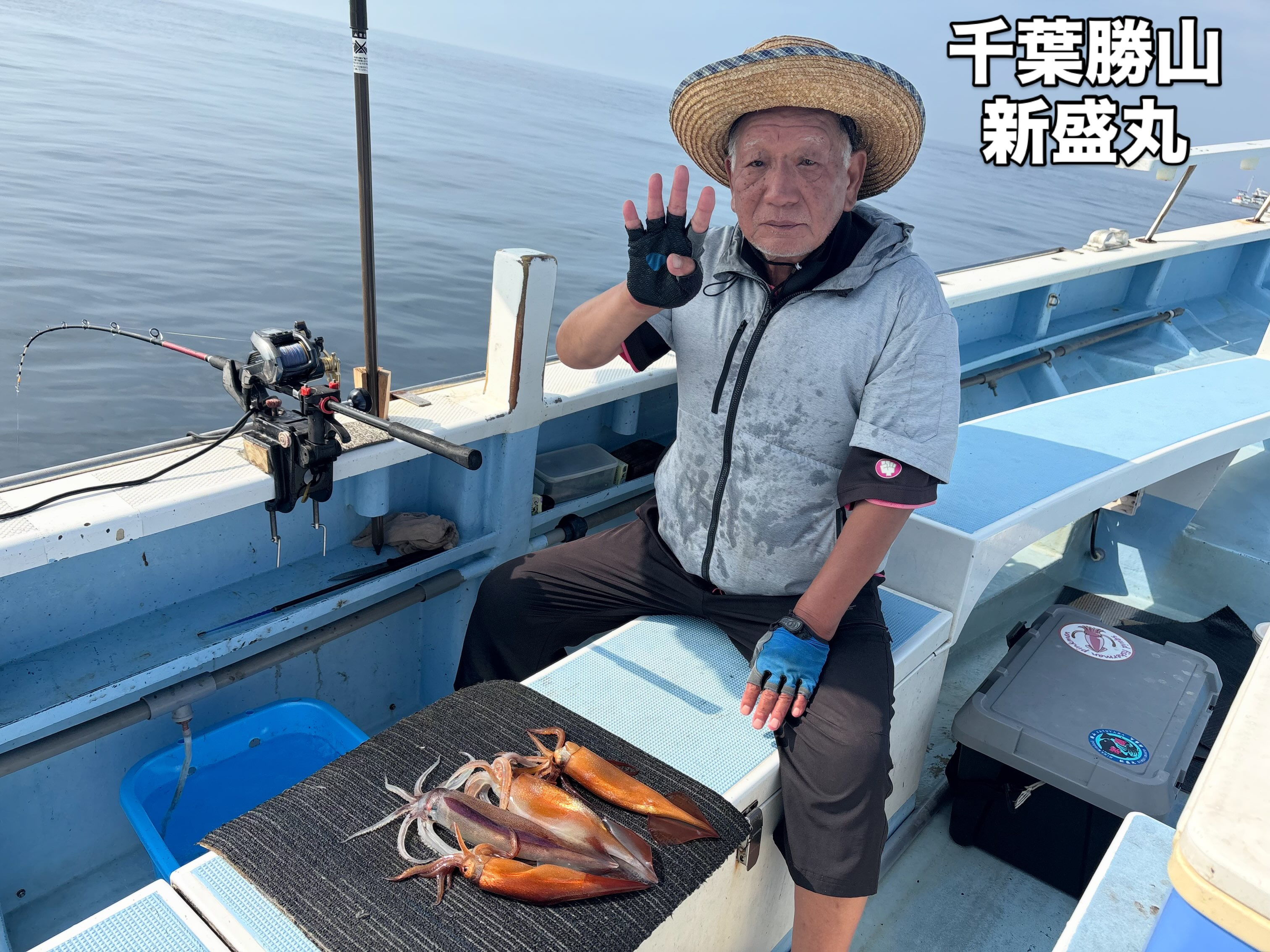 8月2日(日)スルメイカ/マルイカ