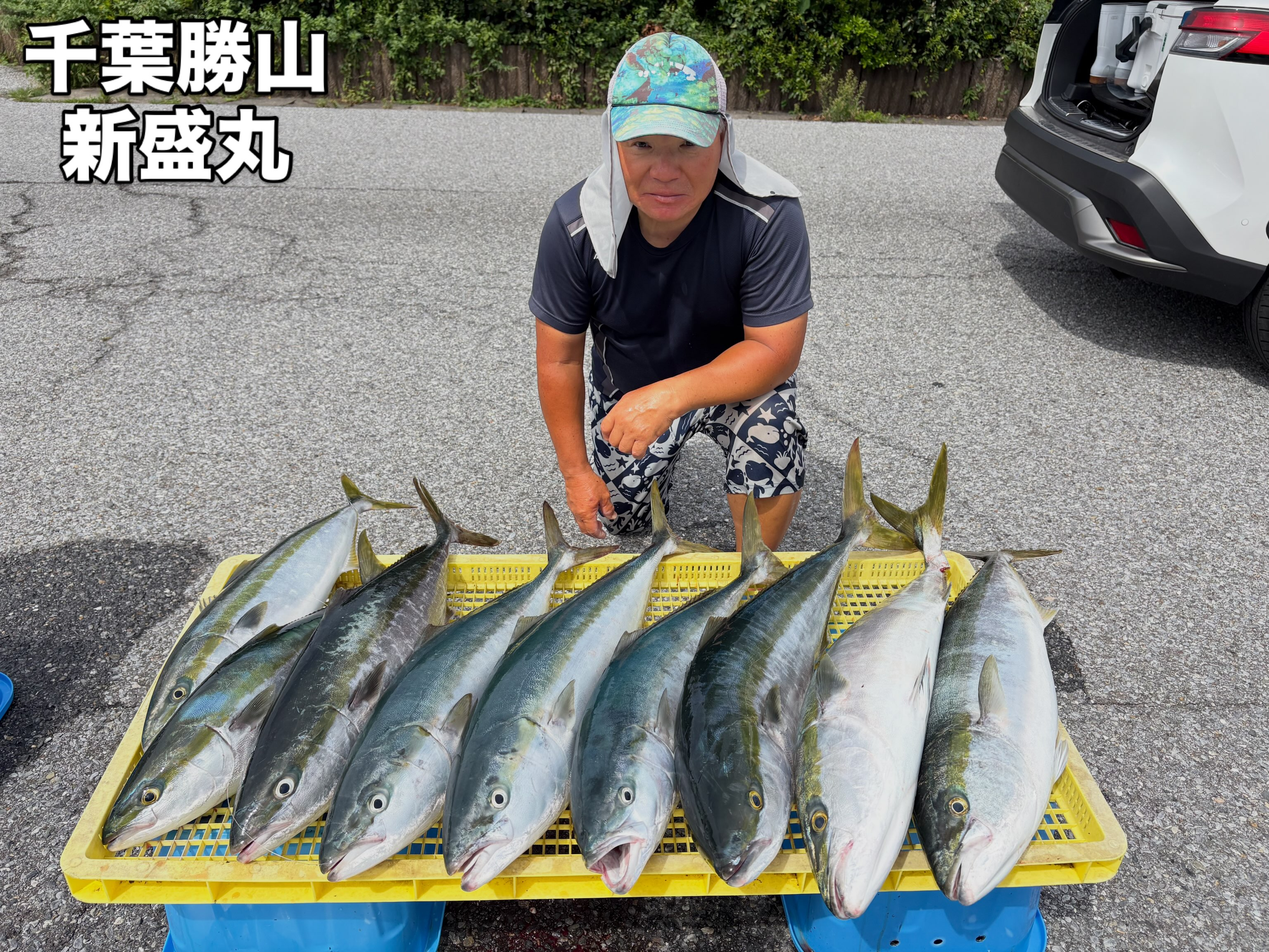 9月15日(火)ワラサ