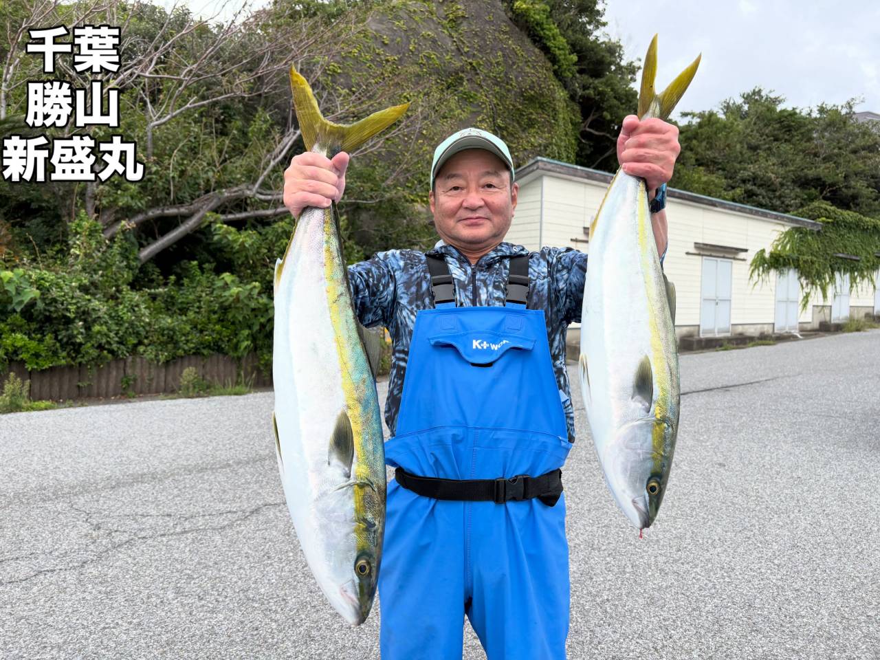 9月17日(木)ワラサ