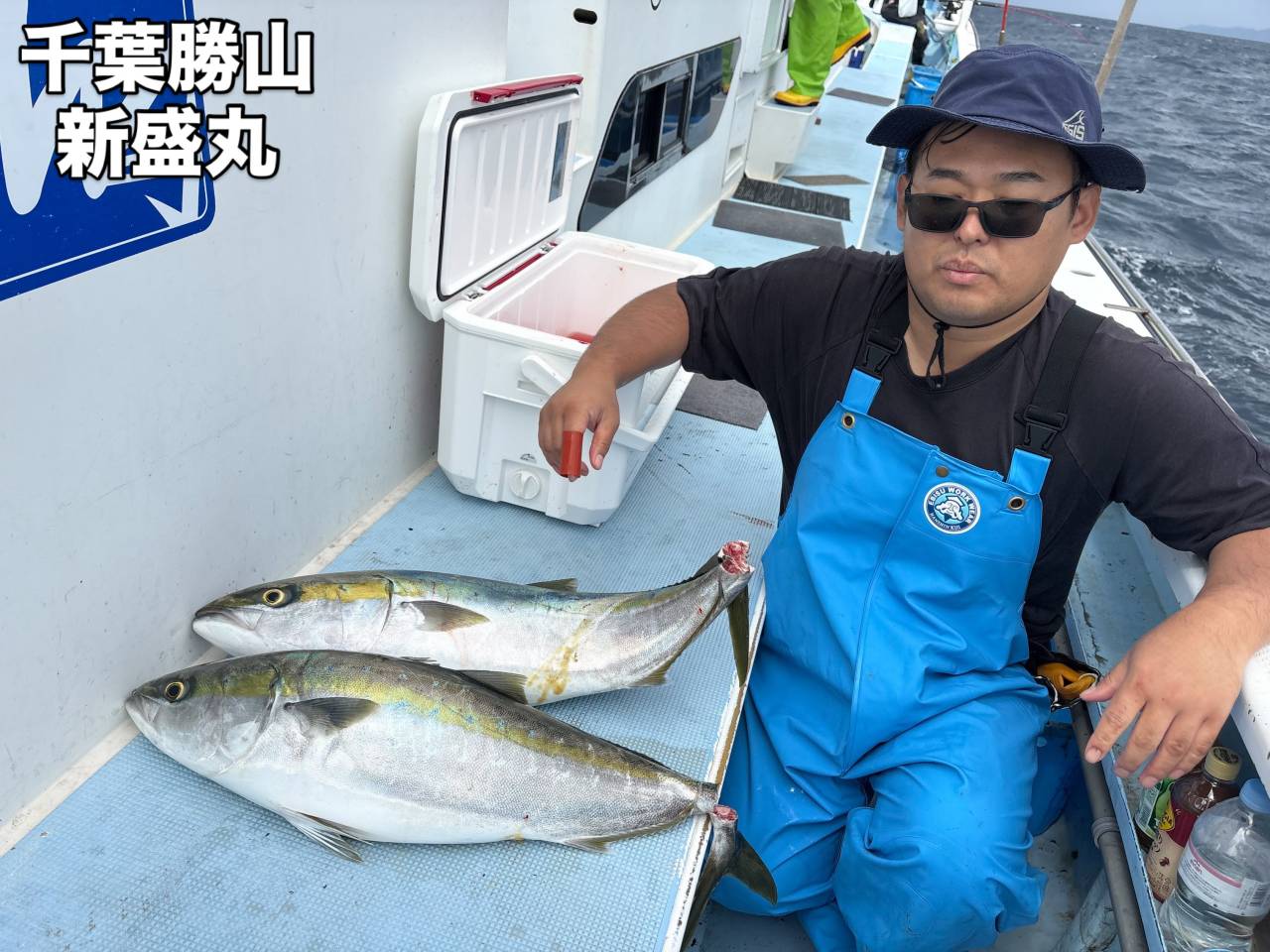 10月2日(金)ワラサ