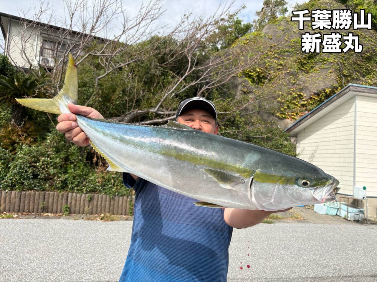 10月7日(水)スルメイカ/ワラサ