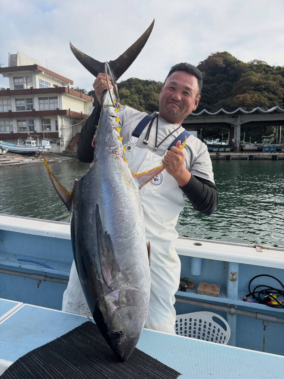 キハダマグロ